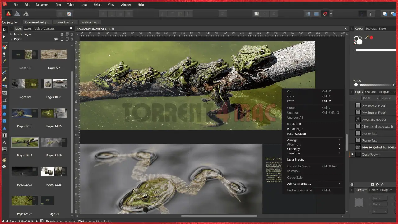 Affinity Publisher for mac screenshot - image 2