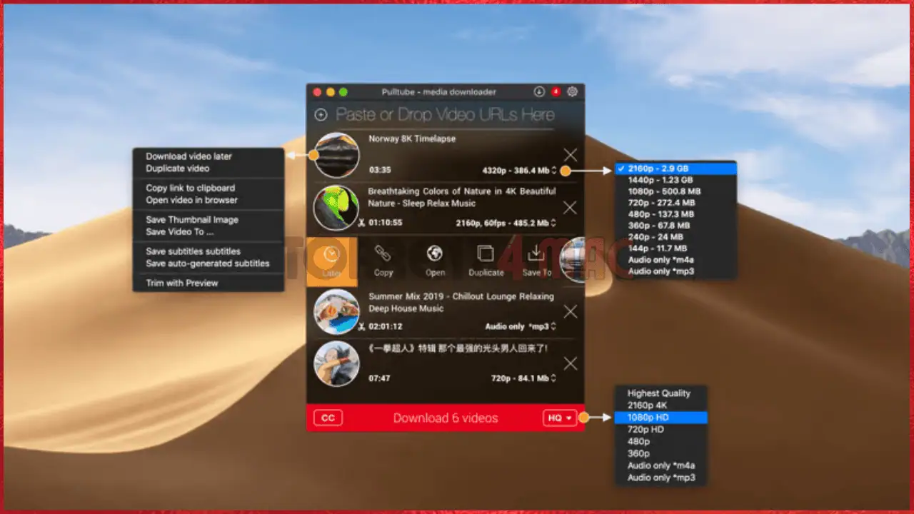 PullTube screenshot - image 2